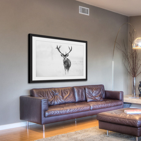 Antler Profile III // Framed Painting Print (18"W x 12"H x 1.5"D)