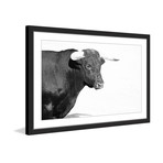 Horned Beast // Framed Painting Print (18"W x 12"H x 1.5"D)