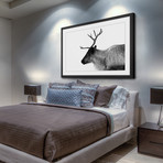 Antler Profile I // Framed Painting Print (18"W x 12"H x 1.5"D)