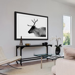 Antler Profile I // Framed Painting Print (18"W x 12"H x 1.5"D)