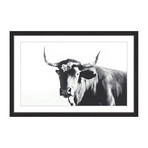 Steer Face // Framed Painting Print (18"W x 12"H x 1.5"D)