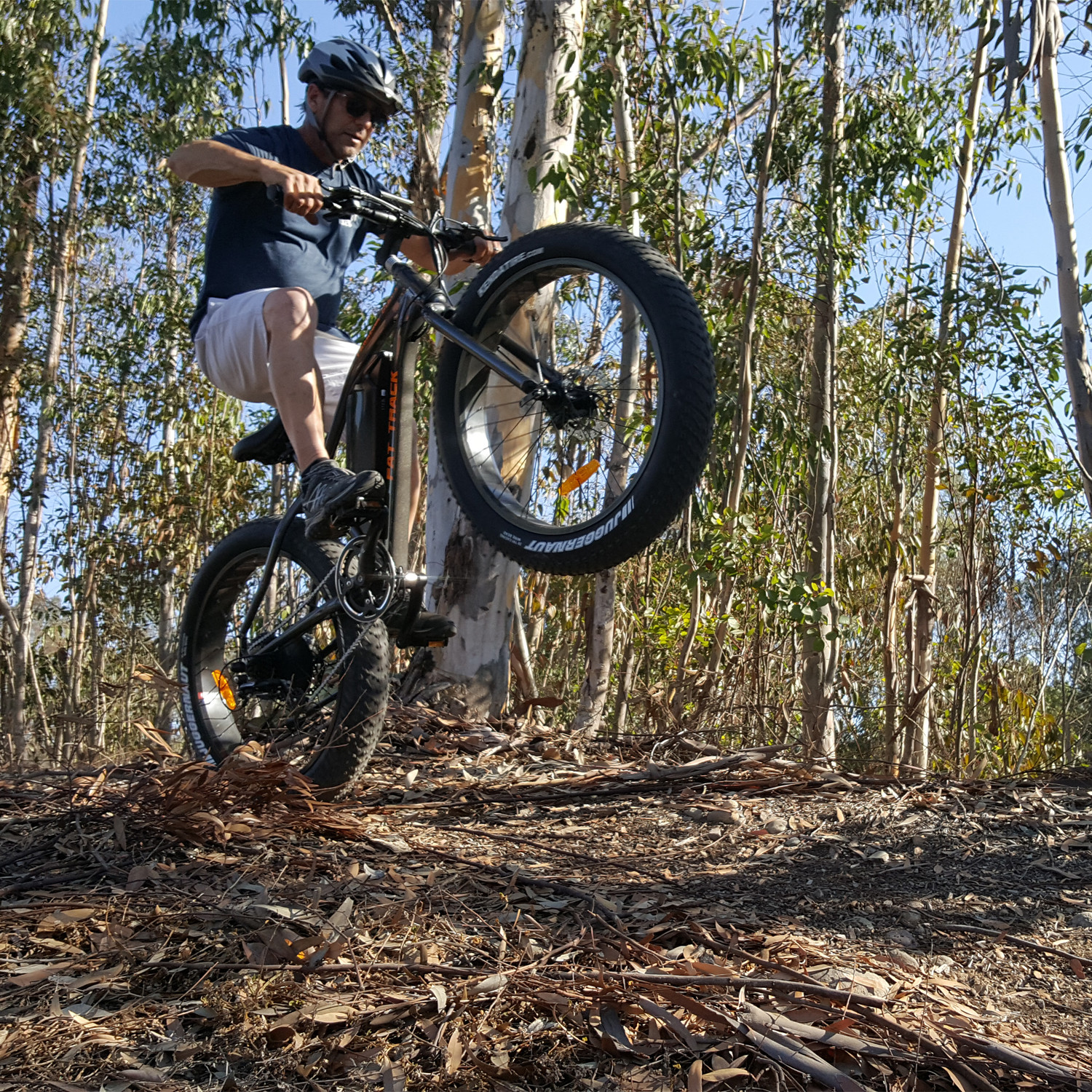 on track fat bike