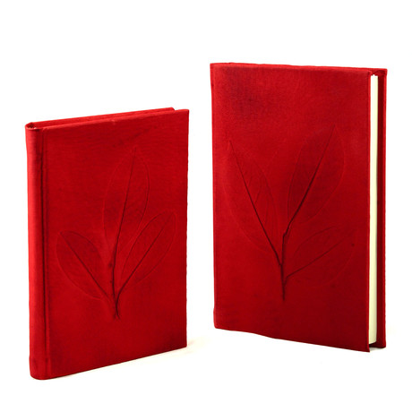 Nature Inspired Journal of Champions // Red (Small + Lined)