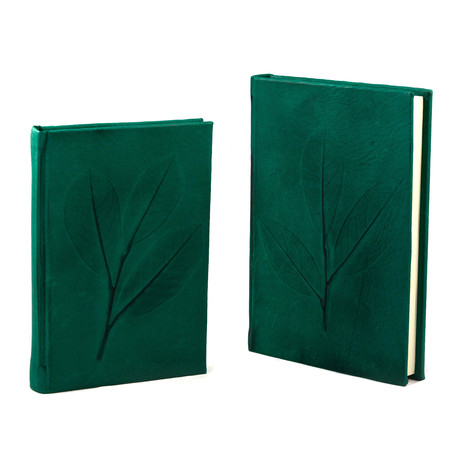 Nature Inspired Journal of Champions // Green (Small + Lined)