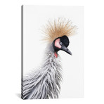 African Crane IV (18"W x 26"H x 0.75"D)