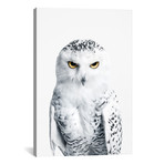 Snowy Owl III (18"W x 26"H x 0.75"D)