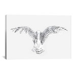 Snowy Owl Wings I (18"W x 26"H x 0.75"D)