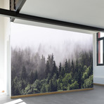 Misty Forest Wall Mural (100"W x 100"H)