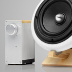 Ceramic Speakers + Amp