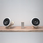 Ceramic Speakers + Amp