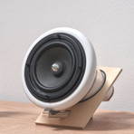 Ceramic Speakers + Amp