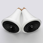 Ceramic Speakers + Amp