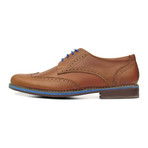 Caracas Royal Wingtip Derby // Brown + Blue (US: 10.5)