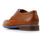 Caracas Royal Wingtip Derby // Brown + Blue (US: 10.5)