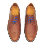 Caracas Royal Wingtip Derby // Brown + Blue (US: 10.5)