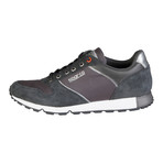 Davidstow // Grey (Euro: 41)