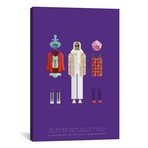 Famous Hollywood Costumes Series // The Adventures Of Priscill (18"W x 26"H x .75"D)