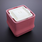 Polar Ice Tray // Cube