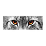 Lynx Eyes // PhotoINC Studio (36"W x 12"H x 0.75"D)