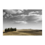 Toscana Landscape II (18"W x 12"H x 0.75"D)