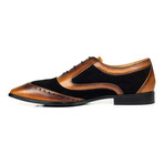 Mixed Texture Wingtip Oxford // Brown + Black (Euro: 44)