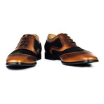 Mixed Texture Wingtip Oxford // Brown + Black (Euro: 44)