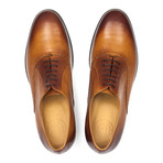 Perforated Oxford // Brown (Euro: 45)