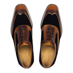 Mixed Texture Wingtip Oxford // Brown + Black (Euro: 44)