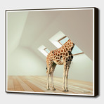 The Last Giraffe (16"W x 16"H x 0.2"D)