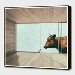 The Last Bull (16"W x 16"H x 0.2"D)