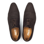 Pointed Captoe Suede Derby // Brown (Euro: 44)