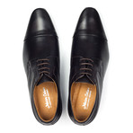 Pointed Captoe Derby // Dark Brown (Euro: 45)