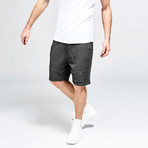 Evan Sweat Short // Anthracite (L)