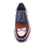 Medallion Brogue Wing-Tip Oxford // Brown + Dark Blue (Euro: 42)
