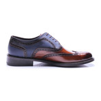 Medallion Brogue Wing-Tip Oxford // Brown + Dark Blue (Euro: 42)