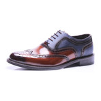 Medallion Brogue Wing-Tip Oxford // Brown + Dark Blue (Euro: 42)