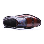 Medallion Brogue Wing-Tip Oxford // Brown + Dark Blue (Euro: 42)