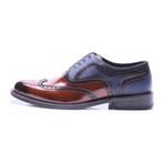 Medallion Brogue Wing-Tip Oxford // Brown + Dark Blue (Euro: 42)