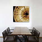 The View From Above (26"W x 26"H x .75"D)