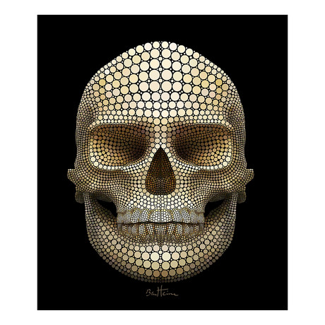 Skull (11"W x 15"H)