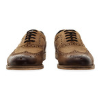 Harwood Wing Tip Brogue Oxford // Tan (UK: 11)