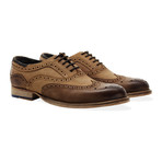 Harwood Wing Tip Brogue Oxford // Tan (UK: 11)