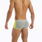 Striped Flash Brazil Boxer // Grey (S)