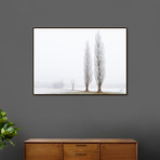 2 in Hoar Frost (20"W x 16"H x 1.5"D)