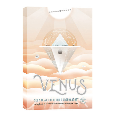 Venus (18"W x 26"H x 1.25"D)