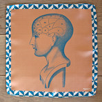 Head // Salmon + Green