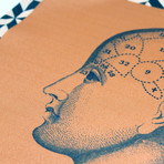 Head // Salmon + Green