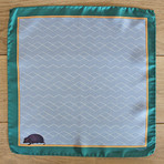 The Imprisoned Hedgehog // Blue + Green