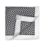 The Stuck Porcupine // Black + White