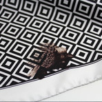 The Stuck Porcupine // Black + White